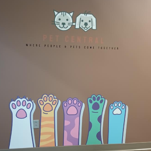 Wall Graphics